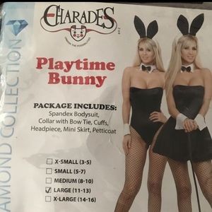 Playboy Bunny Costume